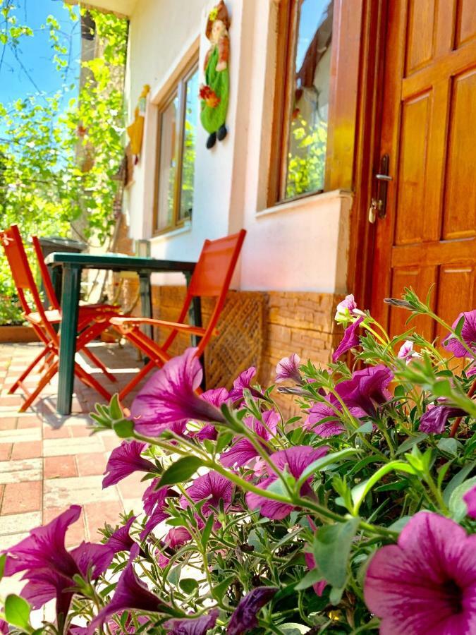 Grinda House Braşov Exterior foto